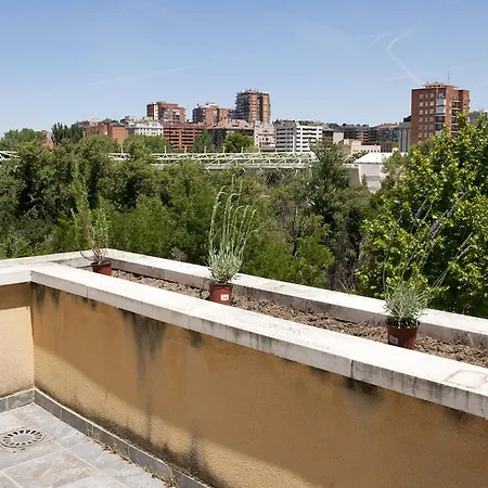 El Olivo Nyaraló *