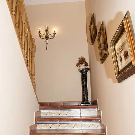 El Olivo Nyaraló Valladolid